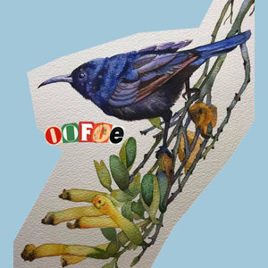 oofoe资料,oofoe最新歌曲,oofoeMV视频,oofoe音乐专辑,oofoe好听的歌