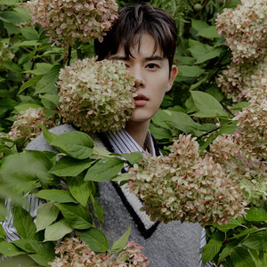 青苹果乐园 (Live)