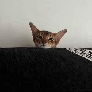 姜江江资料,姜江江最新歌曲,姜江江MV视频,姜江江音乐专辑,姜江江好听的歌