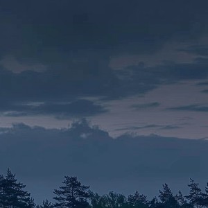 杨林资料,杨林最新歌曲,杨林MV视频,杨林音乐专辑,杨林好听的歌