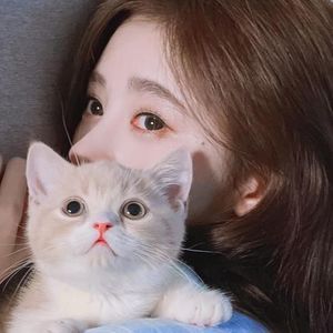 流浪的小情儿资料,流浪的小情儿最新歌曲,流浪的小情儿MV视频,流浪的小情儿音乐专辑,流浪的小情儿好听的歌