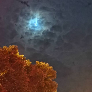 别点Hxxxxyyy资料,别点Hxxxxyyy最新歌曲,别点HxxxxyyyMV视频,别点Hxxxxyyy音乐专辑,别点Hxxxxyyy好听的歌