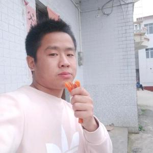 星空科技网络资料,星空科技网络最新歌曲,星空科技网络MV视频,星空科技网络音乐专辑,星空科技网络好听的歌