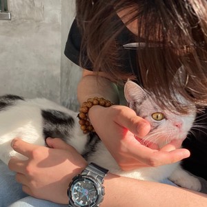 DonaldLin资料,DonaldLin最新歌曲,DonaldLinMV视频,DonaldLin音乐专辑,DonaldLin好听的歌