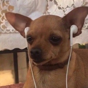 Lin4Sui资料,Lin4Sui最新歌曲,Lin4SuiMV视频,Lin4Sui音乐专辑,Lin4Sui好听的歌