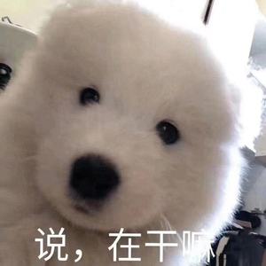 滕汉伟资料,滕汉伟最新歌曲,滕汉伟MV视频,滕汉伟音乐专辑,滕汉伟好听的歌