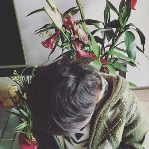 Healing资料,Healing最新歌曲,HealingMV视频,Healing音乐专辑,Healing好听的歌