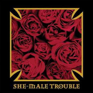 She-Male Trouble