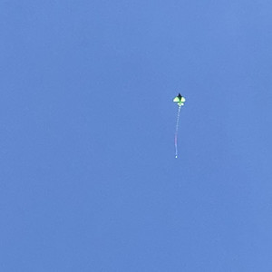 zzZhuLInGYv资料,zzZhuLInGYv最新歌曲,zzZhuLInGYvMV视频,zzZhuLInGYv音乐专辑,zzZhuLInGYv好听的歌