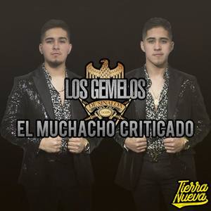 Los Gemelos De Sinaloa