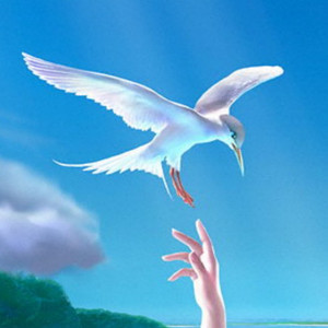 陈达飞资料,陈达飞最新歌曲,陈达飞MV视频,陈达飞音乐专辑,陈达飞好听的歌