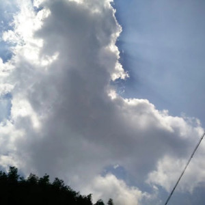 玖柒柒资料,玖柒柒最新歌曲,玖柒柒MV视频,玖柒柒音乐专辑,玖柒柒好听的歌