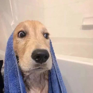 hYanyine资料,hYanyine最新歌曲,hYanyineMV视频,hYanyine音乐专辑,hYanyine好听的歌