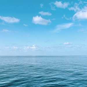 Assion Mood资料,Assion Mood最新歌曲,Assion MoodMV视频,Assion Mood音乐专辑,Assion Mood好听的歌