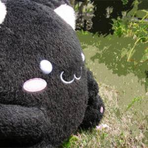 Tomoki资料,Tomoki最新歌曲,TomokiMV视频,Tomoki音乐专辑,Tomoki好听的歌