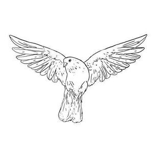 Bryan West资料,Bryan West最新歌曲,Bryan WestMV视频,Bryan West音乐专辑,Bryan West好听的歌