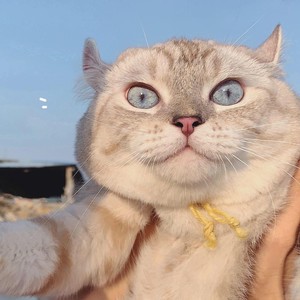 Time.Y资料,Time.Y最新歌曲,Time.YMV视频,Time.Y音乐专辑,Time.Y好听的歌