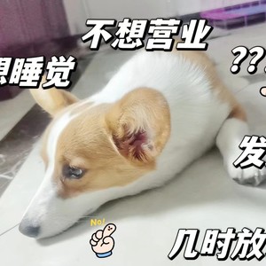 韩庆祥资料,韩庆祥最新歌曲,韩庆祥MV视频,韩庆祥音乐专辑,韩庆祥好听的歌