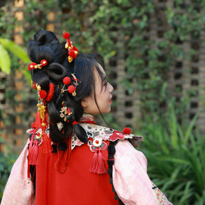 护鳞月资料,护鳞月最新歌曲,护鳞月MV视频,护鳞月音乐专辑,护鳞月好听的歌