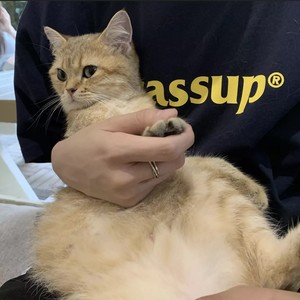 一滴泪的时间-林加弦-