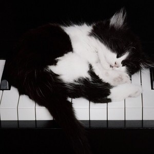 樂大神资料,樂大神最新歌曲,樂大神MV视频,樂大神音乐专辑,樂大神好听的歌