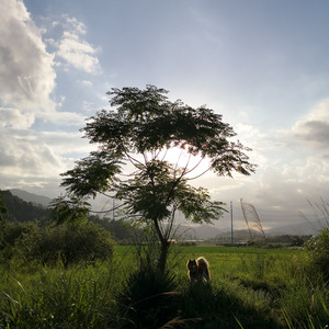 伊腾资料,伊腾最新歌曲,伊腾MV视频,伊腾音乐专辑,伊腾好听的歌