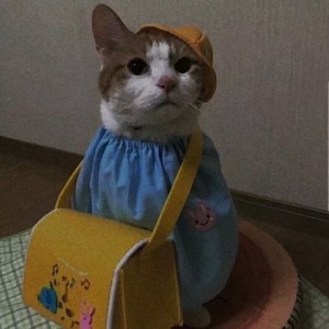 陈明明资料,陈明明最新歌曲,陈明明MV视频,陈明明音乐专辑,陈明明好听的歌