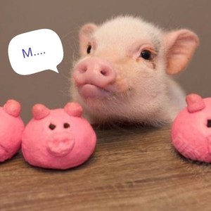 We Are Never Ever Getting Back Together (吉他版片段)