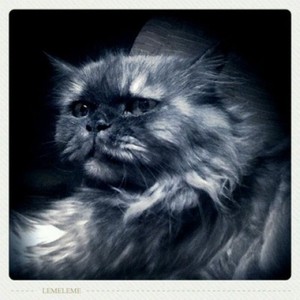 Wooky资料,Wooky最新歌曲,WookyMV视频,Wooky音乐专辑,Wooky好听的歌