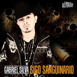 Gabriel Silva资料,Gabriel Silva最新歌曲,Gabriel SilvaMV视频,Gabriel Silva音乐专辑,Gabriel Silva好听的歌
