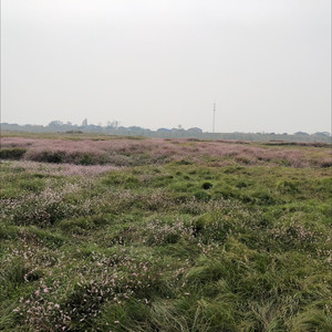 甘凯资料,甘凯最新歌曲,甘凯MV视频,甘凯音乐专辑,甘凯好听的歌