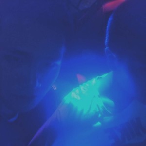 Three Yes资料,Three Yes最新歌曲,Three YesMV视频,Three Yes音乐专辑,Three Yes好听的歌