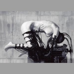 Near Death Experience资料,Near Death Experience最新歌曲,Near Death ExperienceMV视频,Near Death Experience音乐专辑,Near Death Experience好听的歌