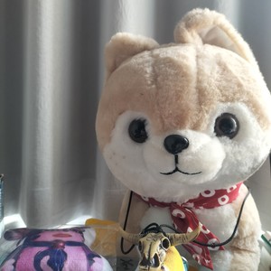 Windx资料,Windx最新歌曲,WindxMV视频,Windx音乐专辑,Windx好听的歌