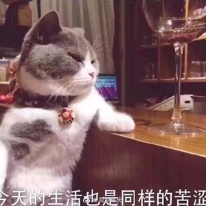 唯望君安资料,唯望君安最新歌曲,唯望君安MV视频,唯望君安音乐专辑,唯望君安好听的歌