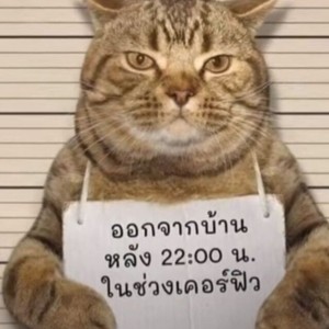 柏拉弟资料,柏拉弟最新歌曲,柏拉弟MV视频,柏拉弟音乐专辑,柏拉弟好听的歌