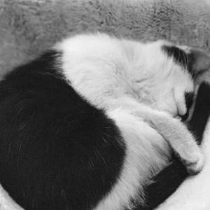 卢山资料,卢山最新歌曲,卢山MV视频,卢山音乐专辑,卢山好听的歌