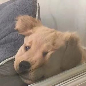 CKi周诗渝资料,CKi周诗渝最新歌曲,CKi周诗渝MV视频,CKi周诗渝音乐专辑,CKi周诗渝好听的歌