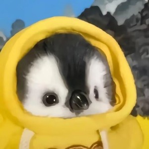 C-csh资料,C-csh最新歌曲,C-cshMV视频,C-csh音乐专辑,C-csh好听的歌