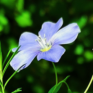 兰声语资料,兰声语最新歌曲,兰声语MV视频,兰声语音乐专辑,兰声语好听的歌