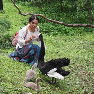 陈淑芳资料,陈淑芳最新歌曲,陈淑芳MV视频,陈淑芳音乐专辑,陈淑芳好听的歌