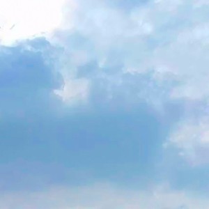 筱wang资料,筱wang最新歌曲,筱wangMV视频,筱wang音乐专辑,筱wang好听的歌