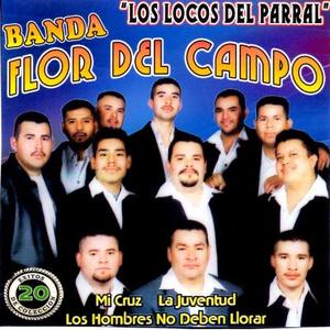 Banda Flor Del Campo