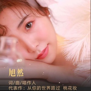 字字句句 (K歌版)