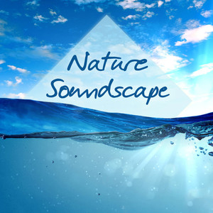 Nature Soundscape资料,Nature Soundscape最新歌曲,Nature SoundscapeMV视频,Nature Soundscape音乐专辑,Nature Soundscape好听的歌