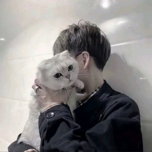 伊晨资料,伊晨最新歌曲,伊晨MV视频,伊晨音乐专辑,伊晨好听的歌