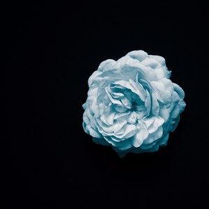 riser资料,riser最新歌曲,riserMV视频,riser音乐专辑,riser好听的歌