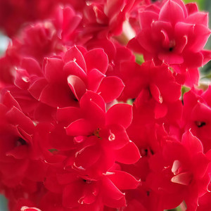 长青资料,长青最新歌曲,长青MV视频,长青音乐专辑,长青好听的歌