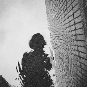 一棵会开花的树 (Demo)