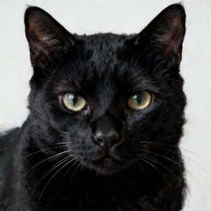 空想之猫资料,空想之猫最新歌曲,空想之猫MV视频,空想之猫音乐专辑,空想之猫好听的歌